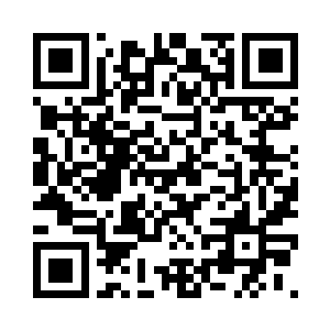 尤其是尾羽最长的几根都被砸的折断了的蠢蠢二维码生成