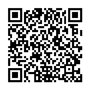 尤其是已经被他的元神炼化成功了的人道衍录和地道衍录二维码生成