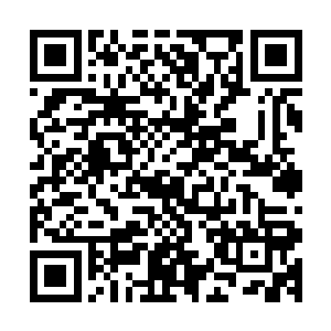 尤其是当时没有离开地下实验室的……那更加是重点怀疑对象二维码生成