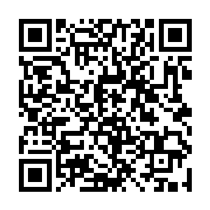 尤其是流墨墨放在明面上的一串宠物都比她的修为强二维码生成