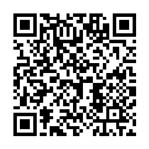 尤其是这次任务唐铮竟然抢先一步探查到了恐怖分子的讯息二维码生成