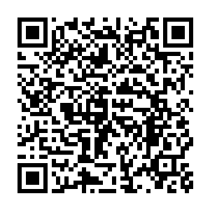 尤其是颈项后那细密的茸毛竟然有一种想让人细细把玩揉捻的冲动二维码生成