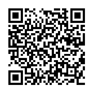 就一定能够完全将自己刚刚突破到仙皇后期的境界沉淀下来二维码生成