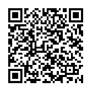 就不用担心武英奇的警戒法宝会检测到他们的动静二维码生成