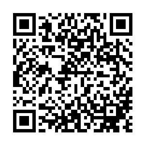 就他经过的这段距离中龙傲天发现了不下数十股庞大的气息二维码生成