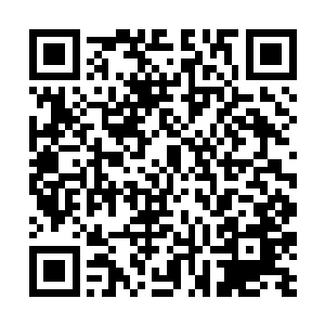 就仿佛他要杀千寻衍真的跟碾死一只蚂蚁一样的简单二维码生成