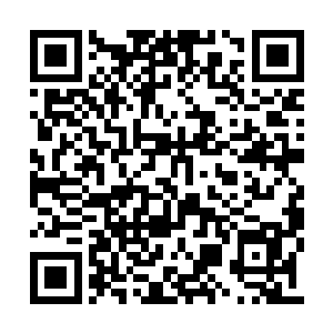 就会在董事会里采用各种各样的办法找你的麻烦二维码生成