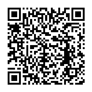 就会爆发出难以想象的可怕实力了……尤其是手臂上的那一对刀刃二维码生成