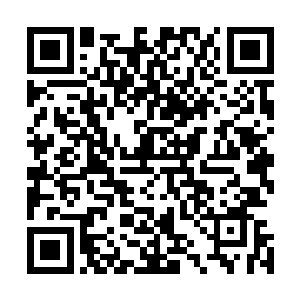 就停留在之前冷轩看的那张一丝不挂的睡美人图的画面上了二维码生成