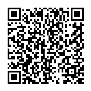 就像他当初在雪城那个冰砖建造的宾馆里看到隔壁的王白露和小青一样二维码生成