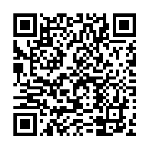 就像是有一股恐怖到极致的力量突然顶住了他所有的进攻时的二维码生成