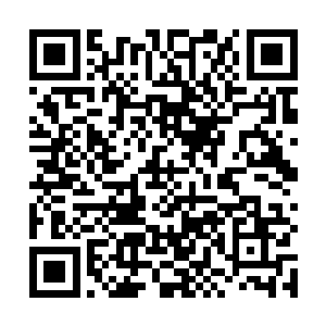 就像梓箐当初在那个荒凉的地方第一次看见他们时一样二维码生成