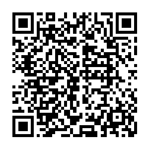 就凭这车子前面挂的红色甲字牌以及后面跟着的三个数字就让他们望而怯步二维码生成