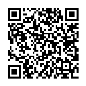 就单单是无端端的放弃那样一个含有巨额利润的地皮二维码生成