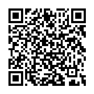 就发现他的眉心处跟我一样有了宇宙主宰的标识二维码生成