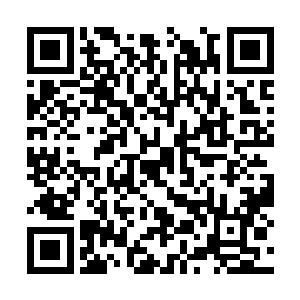 就可独自一个人离开这座后台无比坚硬的宣罗幻阵二维码生成