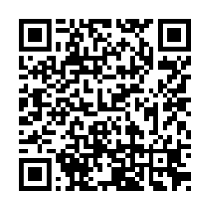 就在五阶魔核的消息刚从天凤拍卖行传扬出来时二维码生成