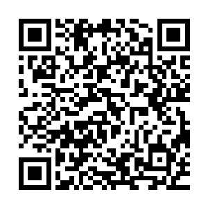 就在刚才他还被霞关区的公安分局副局长给训得跟新兵蛋子一样二维码生成