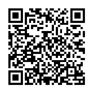 就在呼延灼和韩滔怀着极大的热情赶到这片野林跟前之时二维码生成