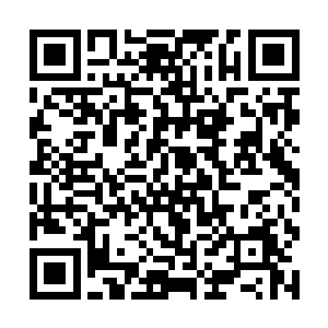 就在在娱乐版的头版头条上刊登出了相关的数据信息二维码生成