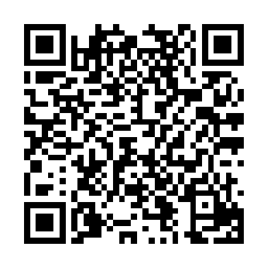 就在季疏云以为自己的动作会引起对方反应的同时二维码生成