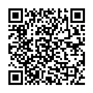 就在山墟的某个核心区域之内――从姬月蓝口中听到的这个消息二维码生成