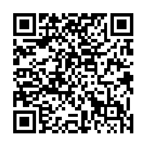 就在左无忌和辰皇皇帝陛下这两个野心家的手中联袂展开二维码生成