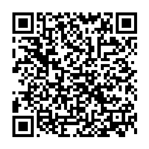 就在我撒道符的过程中我发现远处的地面上有一些小虫子正在爬过来二维码生成