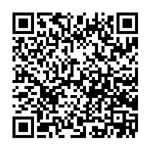 就在梓箐正打算找卢苇问问是不是她把高级修真剧情的事情说出去的时候二维码生成