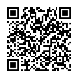 就在苏凡以为他会继续爬起来和自己争斗的时候二维码生成