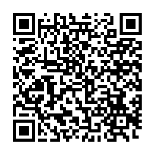 就在陈凌惊讶之余一丝清凉而表现的非常友好的灵气转入了他的身体二维码生成