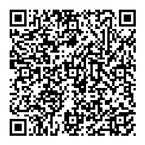 就在风清扬即将抓狂的时候 忽然之间 虚空好似飘过一阵风 那人影脸上额迷蒙顿时消失不见 露珠一张眉清目秀的脸二维码生成