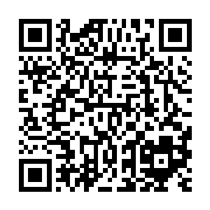 就好像肚子饿的人看到前面放着的美食都会忍不住动手去拿一样二维码生成