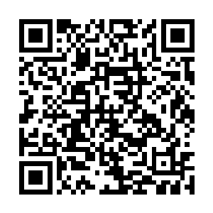 就将这些硬的和石头一样的疙瘩重新煮一遍就行了二维码生成