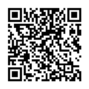 就已经在迈哈顿的一个二流酒店给他们订下了一间情侣套房二维码生成
