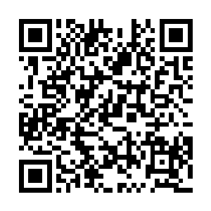 就已经开始细数这部戏的那些主要角色扮演者们的出身二维码生成