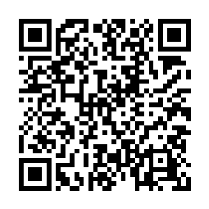就开始把一件件的古玩字画从储物戒指里拿出来二维码生成
