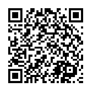 就想到了同行的几个特殊情况――两个孕妇和几个哺乳期妇女二维码生成