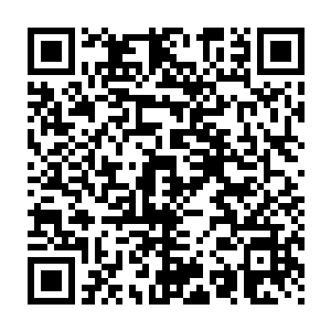 就感觉到一只手掌重重的排在了它的脑门上了……狂暴的罡劲冲击下来二维码生成