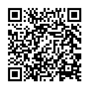 就把刚刚还在打的水深火热的两方变成了一只绳上的蚂蚱……二维码生成