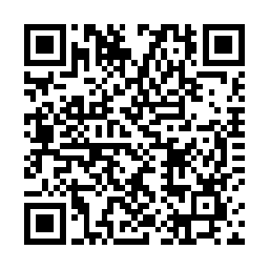 就投钱给他在那儿成立了一家很大型的基因工程实验室二维码生成