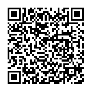 就是上元大陆如今这二百多个天尊当中修炼出界的修士也只是一少部分二维码生成