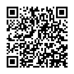 就是为了试探一下对方是不是真的在爱丽丝旅馆里面二维码生成