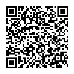 就是你们盗贼工会的老家伙在这里我也是同你们一句话就是你们不够格二维码生成