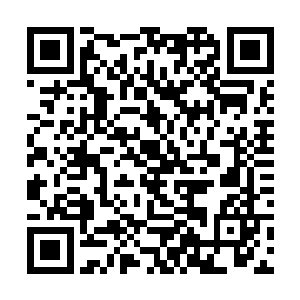 就是刚刚在帝都之战中投降的四大家族皇牌舰队官兵二维码生成