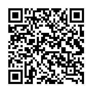 就是各族修炼者得到了魔族强者留下的功法修炼而成二维码生成