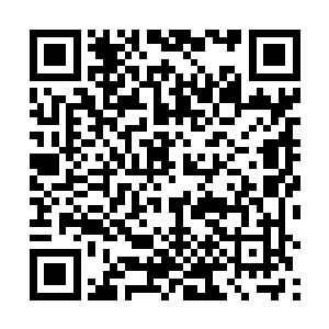 就是因为他用如此歹毒的手段对付我血芒古地的读书人二维码生成