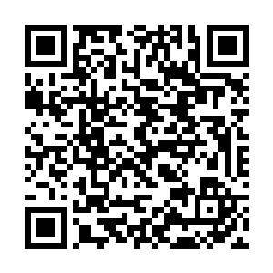 就是在临死之前能找到先祖手记中曾经提到过一次的二维码生成