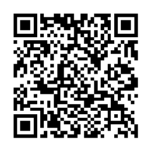 就是头好晕…………这生死一线的经历虽然老子已经麻木了二维码生成