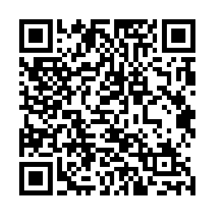 就是杨洛这个心狠手辣的家伙也会把他们白家人全都给捏死二维码生成